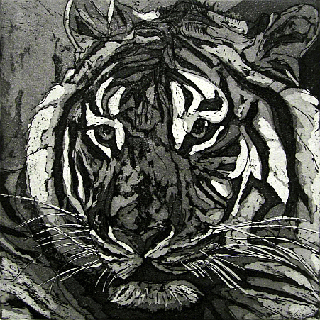 Tiger (Aquatinta)